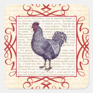 Plymouth Rock Rooster Vintage Poultry Farm Square Sticker