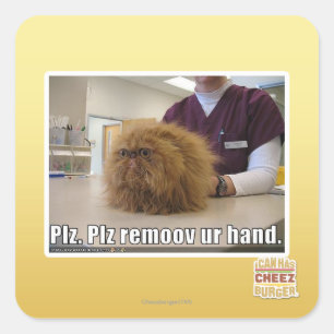 Plz remoov ur hand square sticker