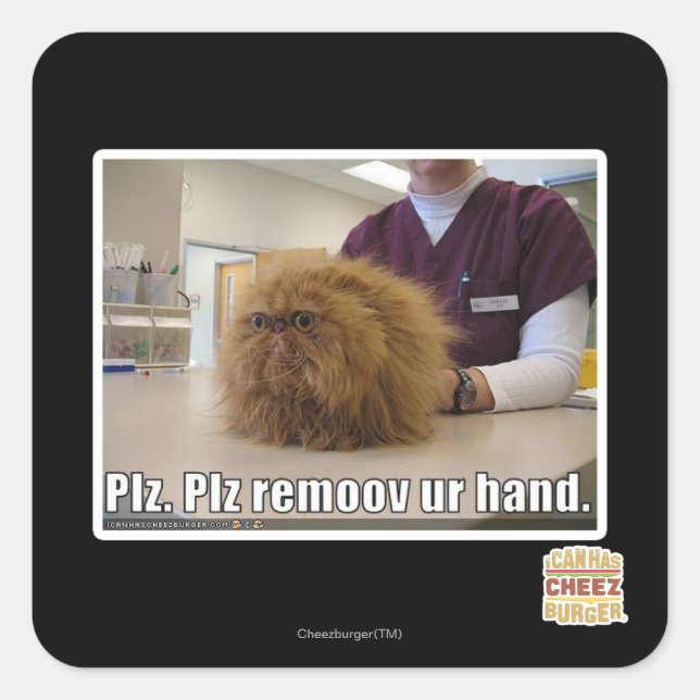 Plz remoov ur hand square sticker (Front)