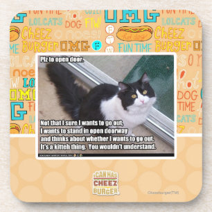 Plz to open door coaster