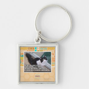 Plz to open door key ring