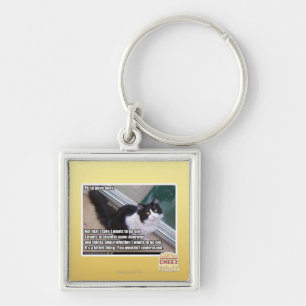 Plz to open door key ring