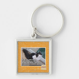 Plz to open door key ring