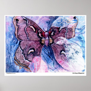 PMACarlson Cecropia Moth Collage Poster