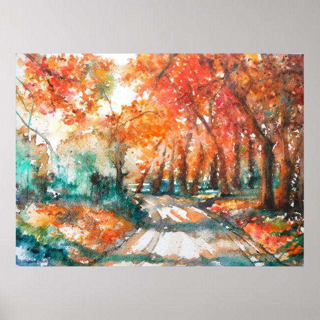 PMACarlson Country Road, Bucks County, Pa Poster (Front)