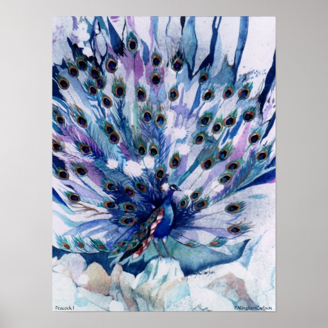 PMACarlson Peacock I Poster (Front)
