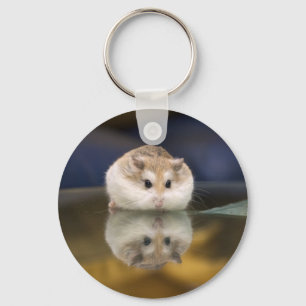 PMT the hamster: Reflections Key Ring