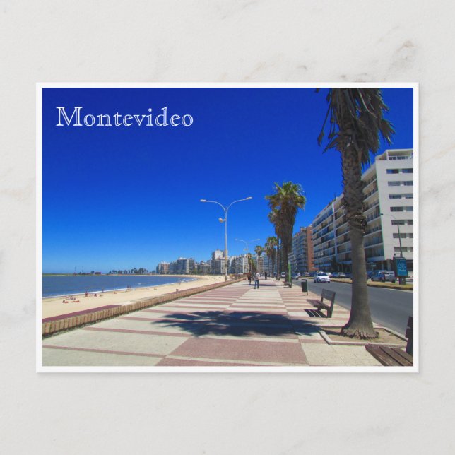 pocitos rambla montevideo postcard (Front)
