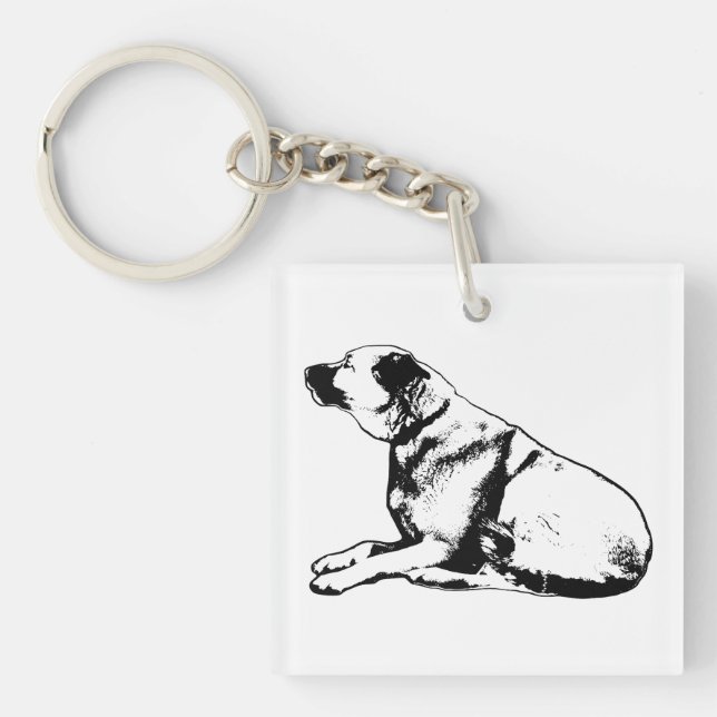 Pocket Balance Key Ring (Front)