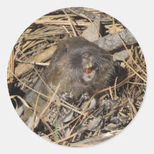 Pocket Gopher Classic Round Sticker