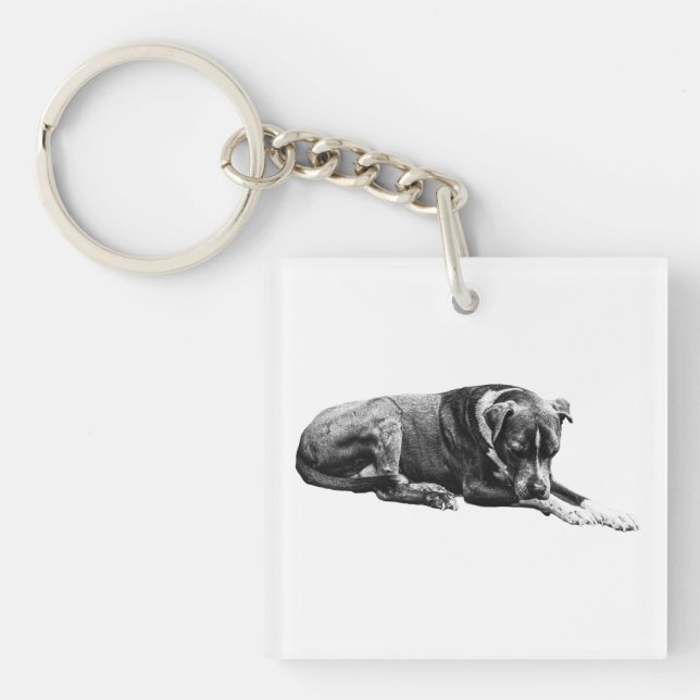 Pocket Lounge Dog Keychain (Front)