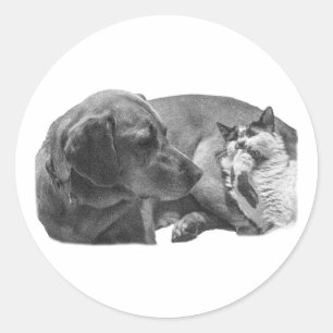 Pocket Pals—Soft Gaze Classic Round Sticker