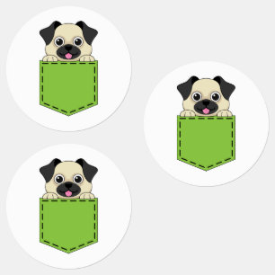 Pocket Pet Dog