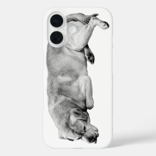 Pocket Poise iPhone 16 Case