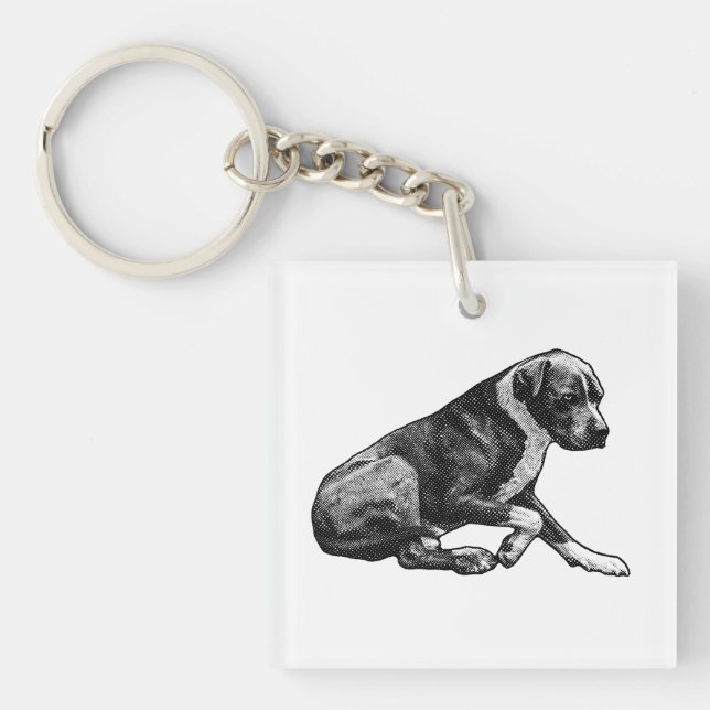 Pocket poise key ring (Front)