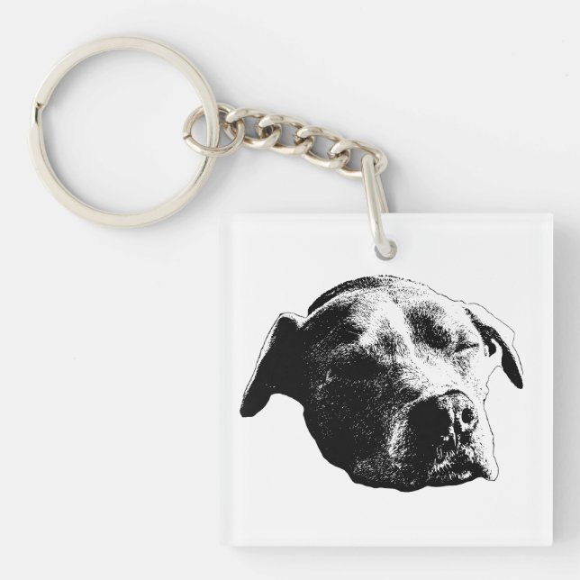 Pocket Quiet Friend Key Ring (Front)