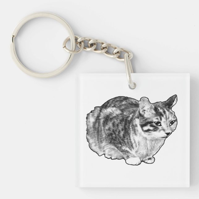 Pocket Tabby with Festive Speckles Key Ring (Front)