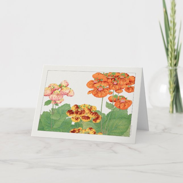 Pocketbook plant by Tanigami Konan Card (Front)