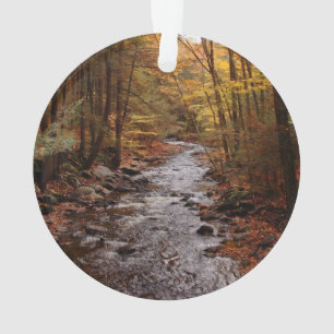 Pocono Stream in Autumn Ornament