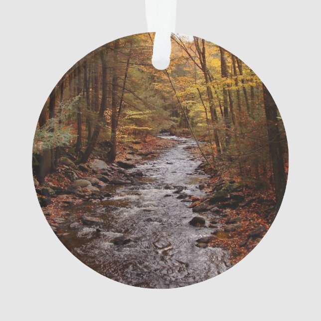 Pocono Stream in Autumn Ornament (Back)