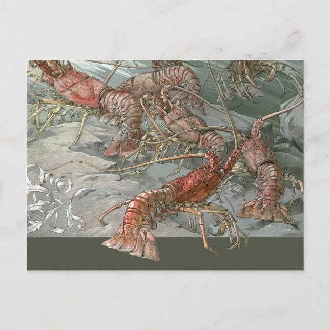 Pod of Lobsters in the Ocean, Vintage Art Nouveau Postcard (Front)