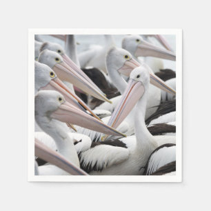 Pod of Pelicans Napkin