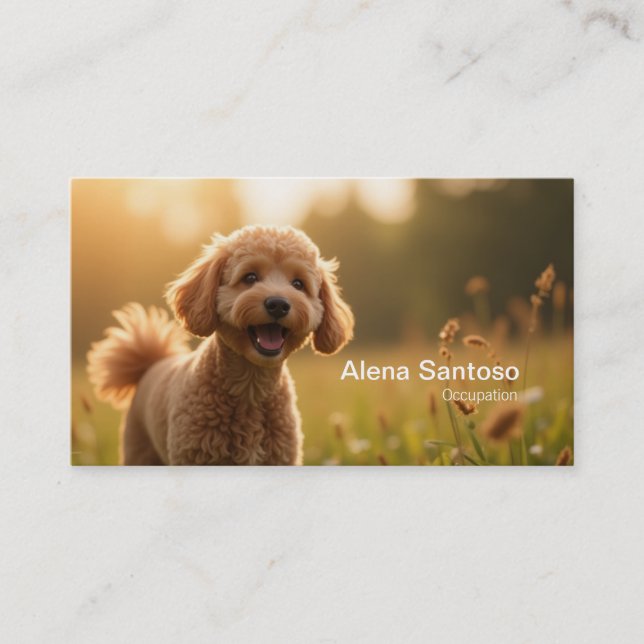 Poddle Dog Business Card (Front)