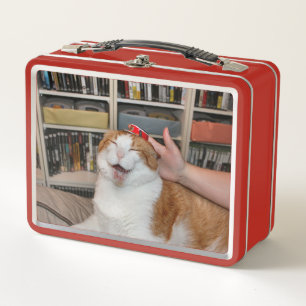 Podgy Scarlett Metal Lunch Box