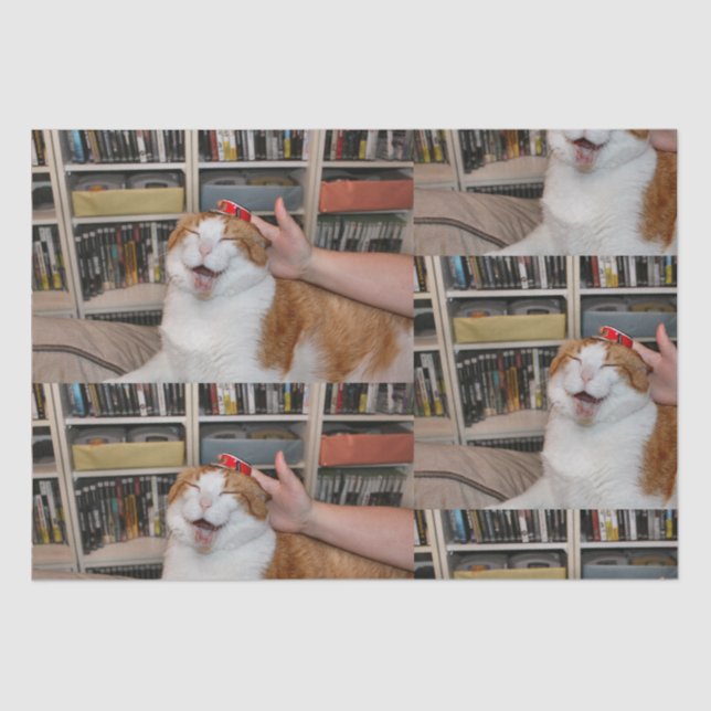 Podgy Scarlett Wrapping Paper (Front)