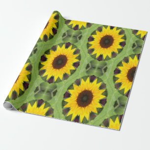 Pods of Sunflowers... Wrapping Paper