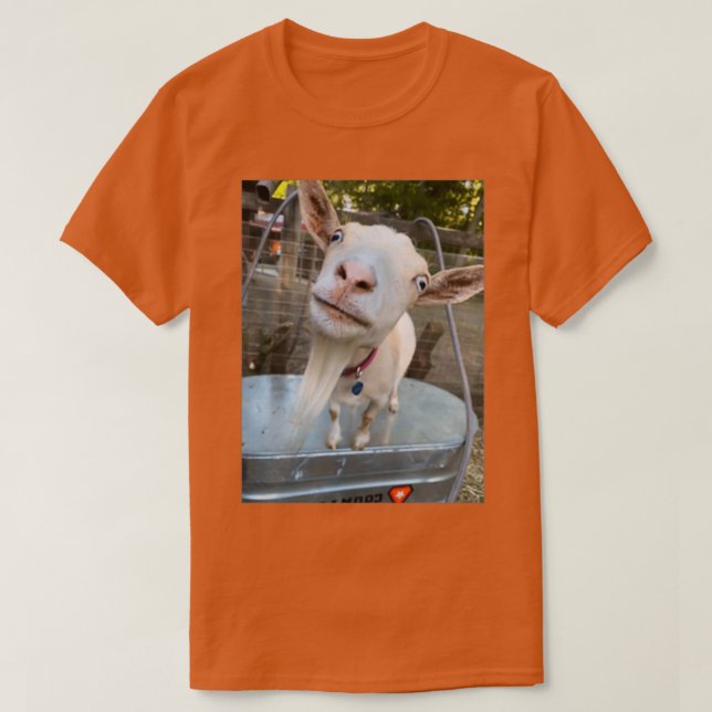poe  T-Shirt (Design Front)