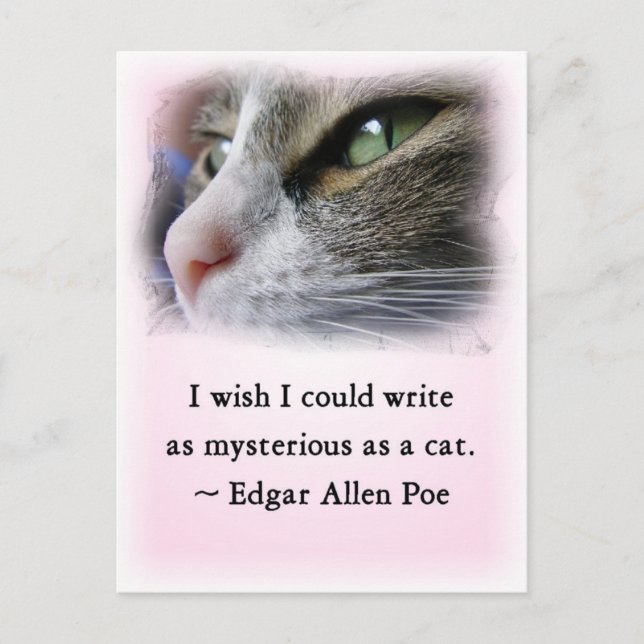 Poe's Cat Postcard (Front)