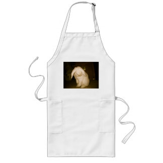 poet long apron