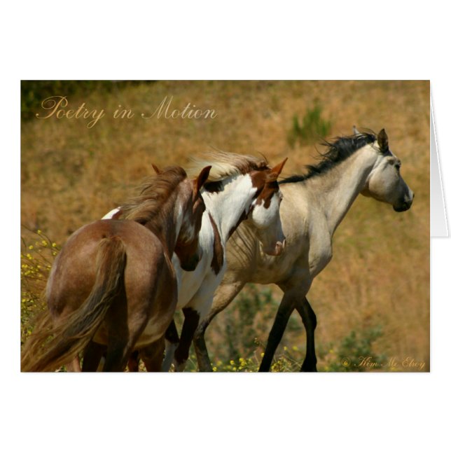 Poetry in Motion ~ Wild Mares (Front Horizontal)