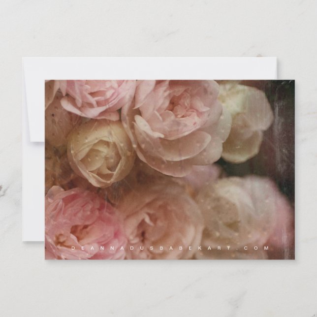 Poetry of Roses Collection Card (Front)