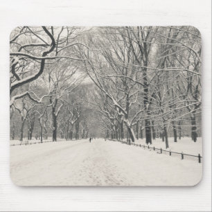 Poet's Walk - Central Park Winter Mouse Mat