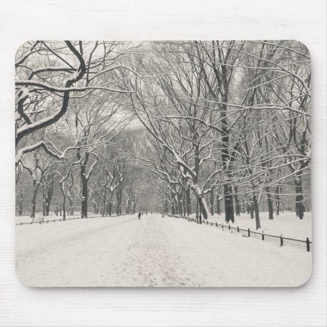 Poet's Walk - Central Park Winter Mouse Mat (Front)