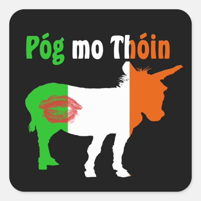 Pog Mo Thoin - Irish Humour Square Sticker (Front)