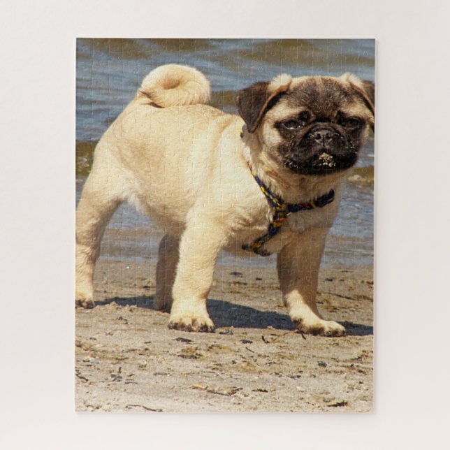 poggy dog baby  jigsaw puzzle (Vertical)