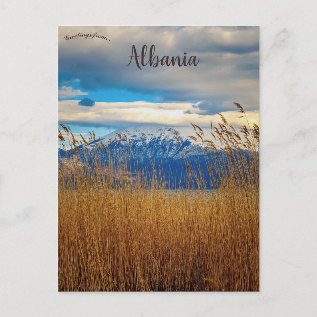 Pogradec Korçë County Albania Postcard (Front)