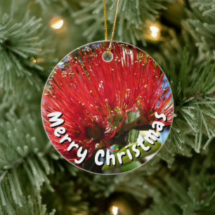 POHUTAKAWA XMAS KIWI CARD CERAMIC TREE DECORATION