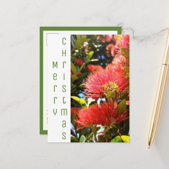 POHUTUKAWA CHRISTMAS FLOWER HOLIDAY COMPANY LOGO POSTCARD (Front/Back In Situ)