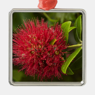 Pohutukawa Flower, Dunedin Metal Tree Decoration