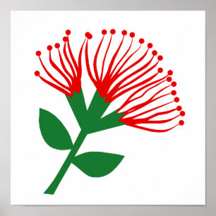 Pohutukawa Flower , New Zealand Poster