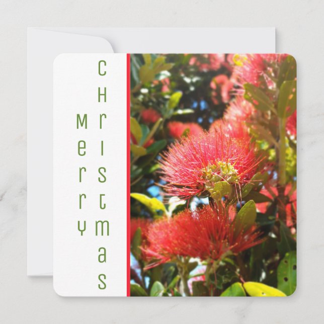 POHUTUKAWA FLOWER NZ HAPPY HOLIDAY COMPANY LOGO  (Front)