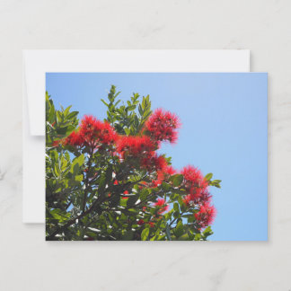 Pohutukawa Postcard 2