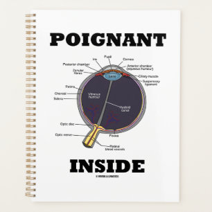 Poignant Eye (I) Inside Anatomical Eyeball Planner