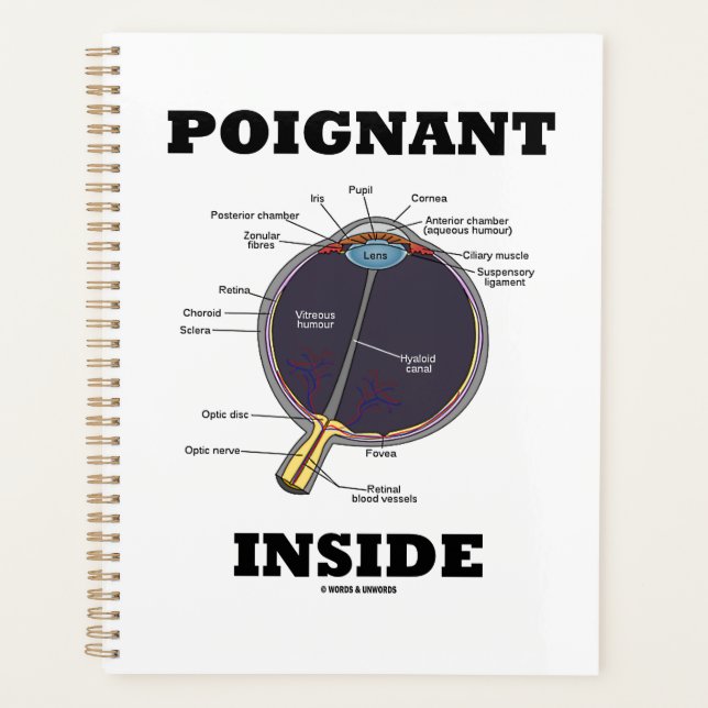 Poignant Eye (I) Inside Anatomical Eyeball Planner (Front)