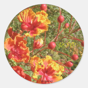 Poinciana Tropical Wedding Envelope Seals/Stickers Classic Round Sticker