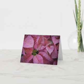 Poinsettia (2) thank you card